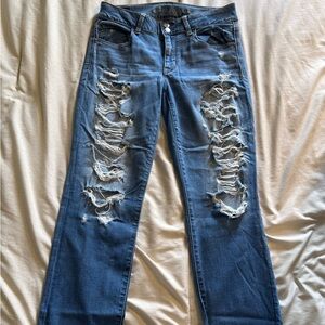 American Eagle Artist Crop Jeans